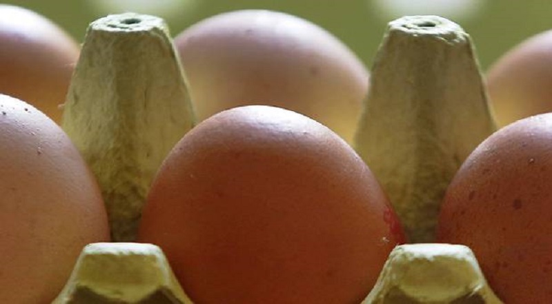 Διατροφική «βόμβα» λόγω μόλυνσης από εντομοκτόνο – Η αλυσίδα σούπερ μάρκετ Aldi απέσυρε όλα της τα αυγά
