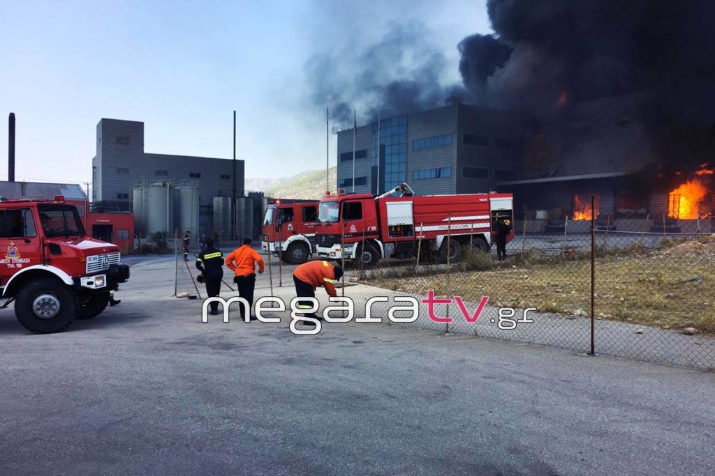 Mέγαρα: Μεγάλη πυρκαγιά σε εργοστάσιο τυποποίησης ελαιολάδου