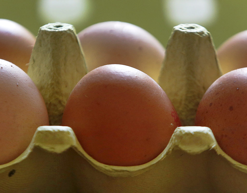 Fipronilgate: Οι αρχές της Ουγγαρίας αποσύρουν από την αγορά μολυσμένα αυγά