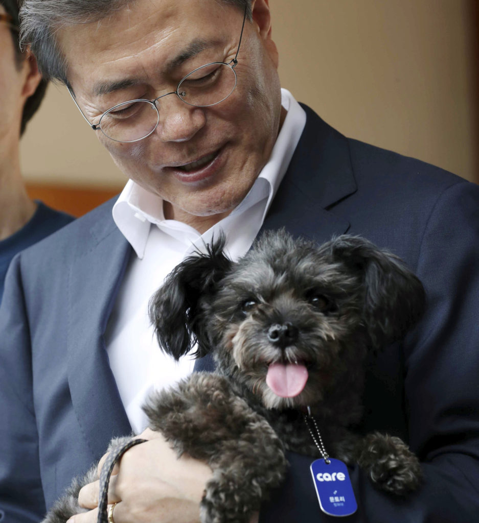Νότια Κορέα: Ο πρόεδρος υιοθέτησε ημίαιμο ως συμβολική κίνηση κατά του εμπορίου κρέατος σκύλου