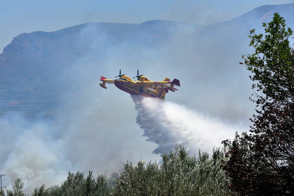 Αρκαδία: Πυρκαγιά στη Ελαία Γορτυνίας