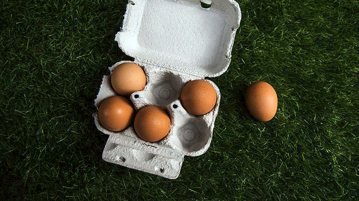 Το fipronil έφτασε και στην Αυστρία – Αποσύρθηκαν εκατομμύρια αυγά σε όλη την Ευρώπη