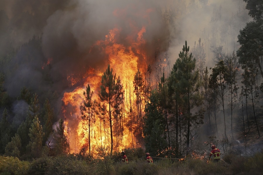 Πορτογαλία: Πάνω από 1 εκατ. στρέμματα έγιναν στάχτη από τις καταστροφικές πυρκαγιές του 2017