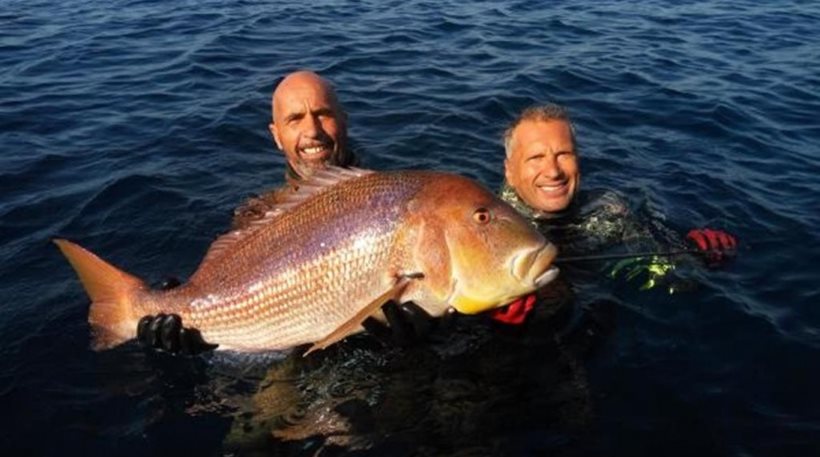 Χίος: Συναγρίδα 11 κιλών χάρισε το παγκόσμιο ρεκόρ σε ψαροντουφεκά – Δείτε το ψάρι-θηρίο