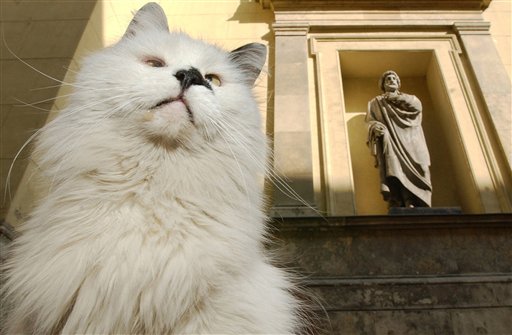 Ρωσία: Πέθαναν από ασφυξία μερικές από τις διάσημες γάτες του Ερμιτάζ (Photos)