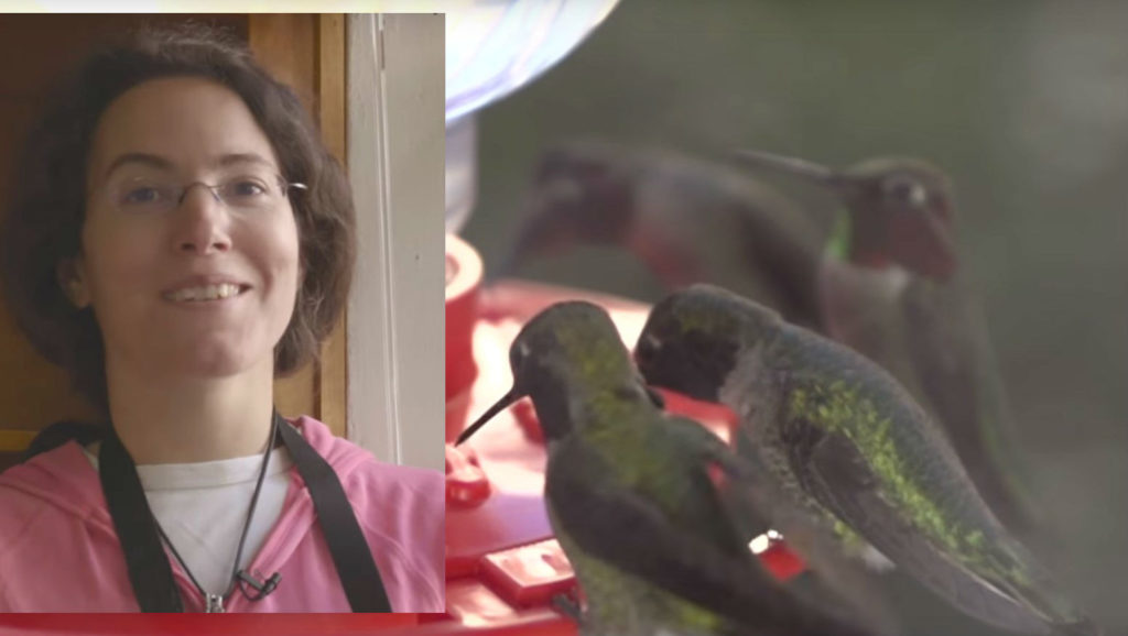 Μέλανι Μπαρμπόνι: Αυτή που ψιθυρίζει στα πουλιά – Είναι …κολλητή με 200 κολιμπρί (Video)