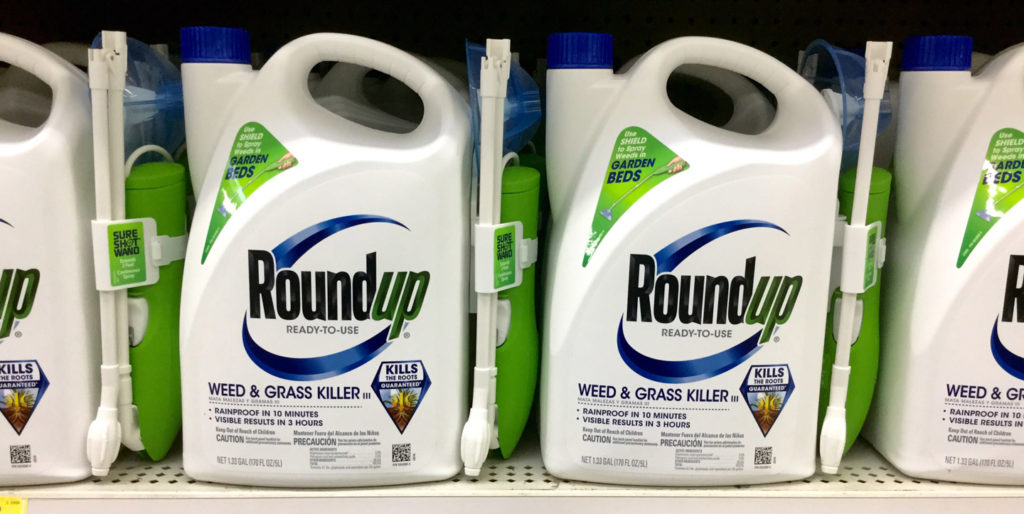 Ράπισμα σε Κομισιόν και Monsanto για το καρκινογόνο εντομοκτόνο