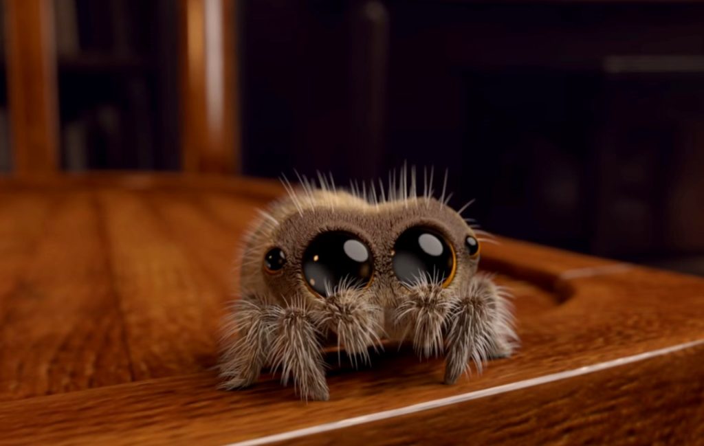 Μια χαριτωμένη αράχνη που την λένε… «Λούκας» (Video)