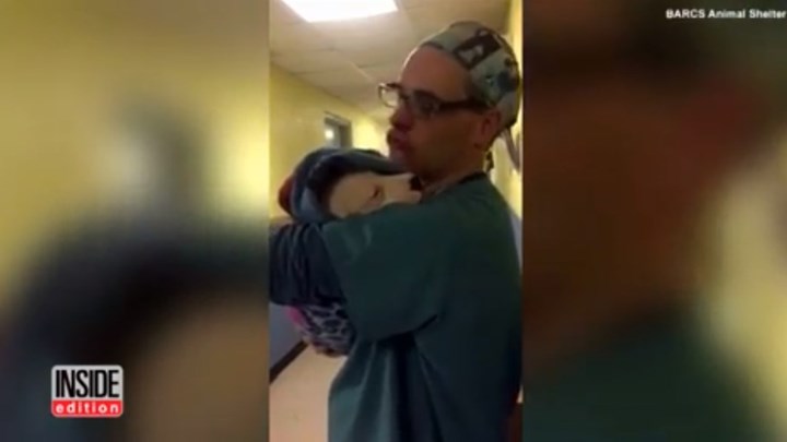 Κτηνίατρος παρηγορεί κουτάβι μετά από εγχείρηση και το διαδίκτυο «λιώνει» (Video)