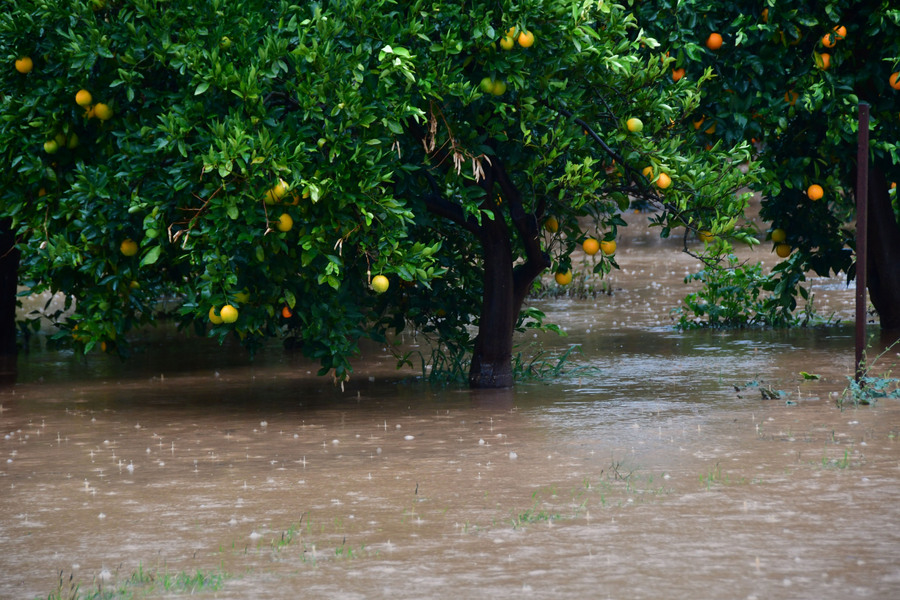 Η «Ευρυδίκη» σαρώνει με βροχές – Πλημμύρες στην Αργολίδα (Video & Photos)
