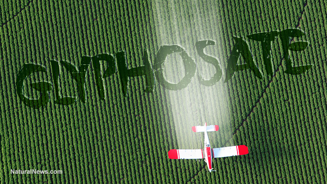 Με τις ευλογίες της Γερμανίας ανανεώθηκε για 5 χρόνια στην ΕΕ η χρήση καρκινογόνου ζιζανιοκτόνου της Monsanto