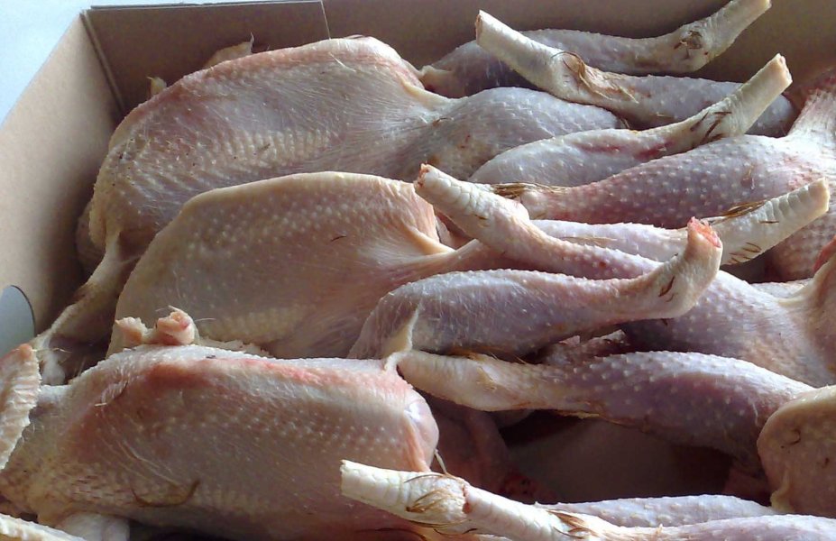 Κατασχέθηκαν ακατάλληλα ψάρια και κοτόπουλα σε αποθήκη στον Πειραιά