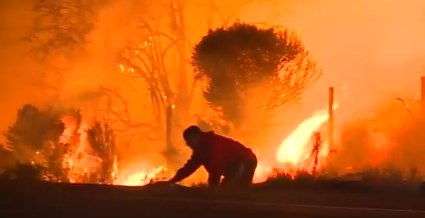 Στιγμιότυπο ανθρωπιάς στην κόλαση της Καλιφόρνια: Έτρεξε στις φλόγες να σώσει έναν λαγό! (Video)