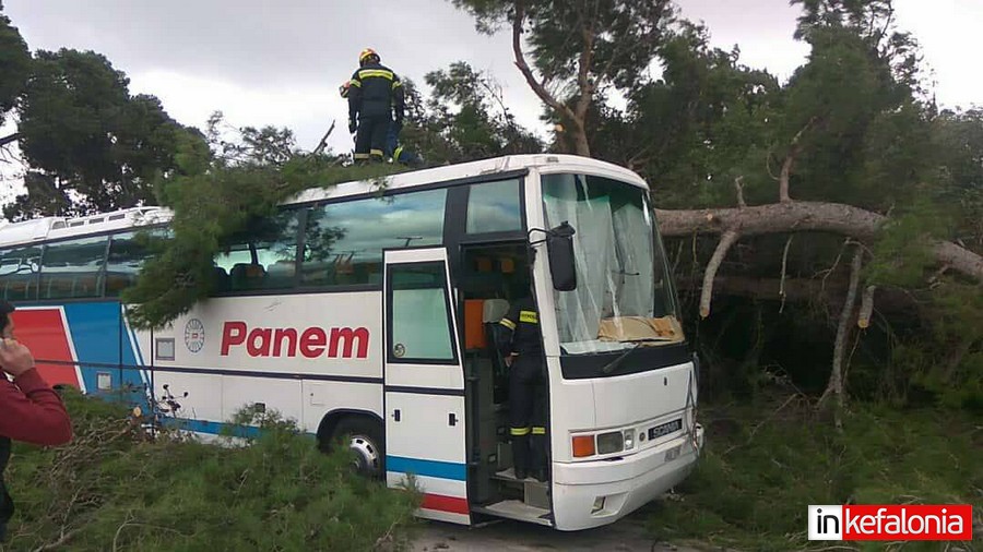 Κεφαλονιά: Δέντρο έπεσε πάνω σε λεωφορείο (Photos)