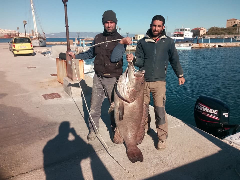 Στη Σύρο έπιασαν με καλάμι ψάρι… 63 κιλών! (Video)