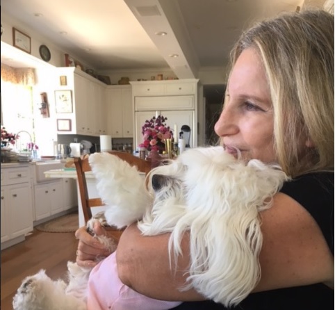 Η Μπάρμπαρα Στρέιζαντ κλωνοποίησε την αγαπημένη της σκυλίτσα (Photos + Video)