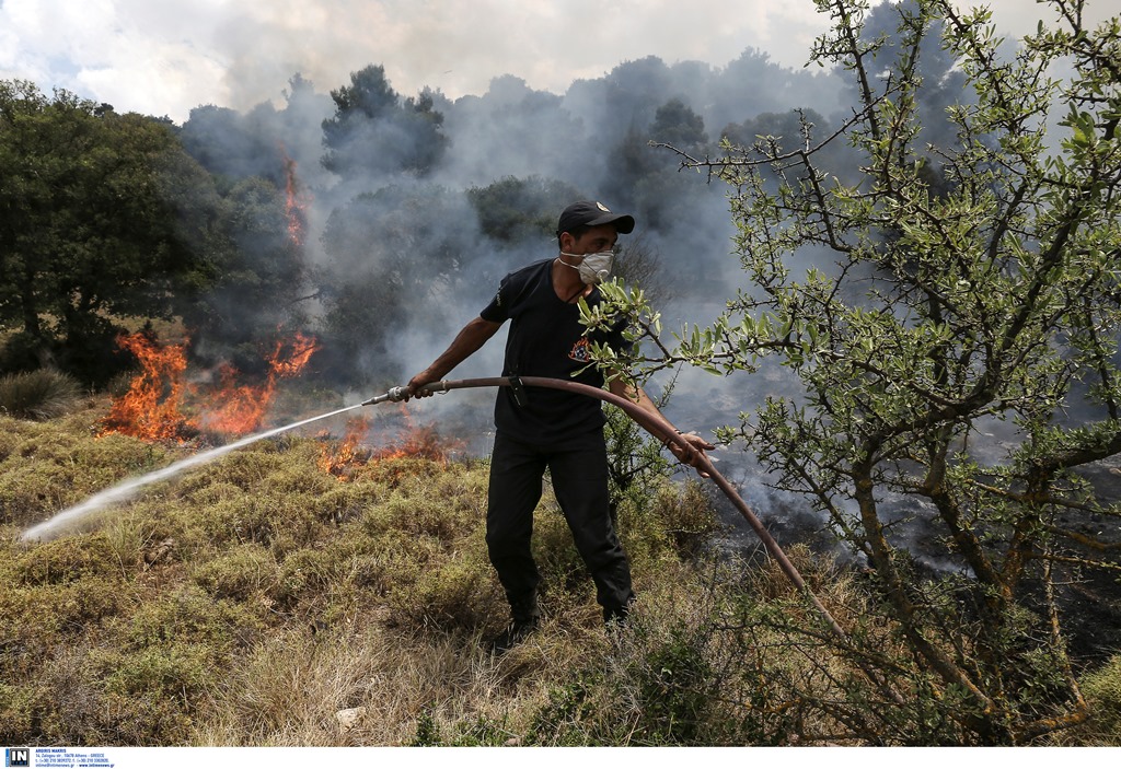 Οι δυνατοί άνεμοι δυσχεραίνουν την κατάσβεση της πρώτης μεγάλης φωτιάς στην Αττική φέτος