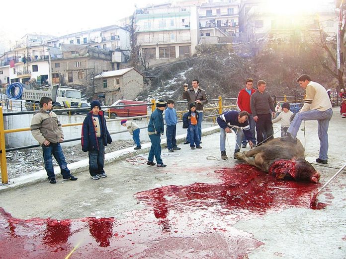 Έβρος: Αντιμέτωποι με πρόστιμα όσοι σφάζουν δημόσια ζώα – Φρένο στην τελετουργική σφαγή (Photos)