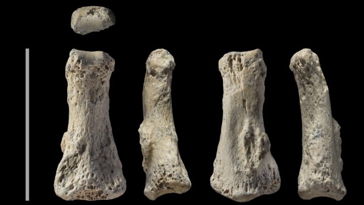 Σπουδαία ανακάλυψη: Οστά Homo Sapiens 90.000 ετών στη Σαουδική Αραβία