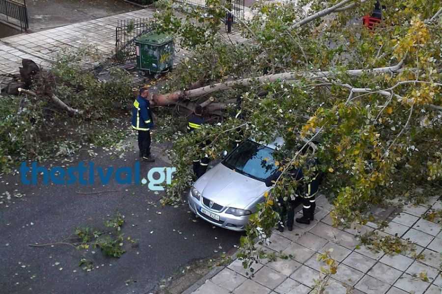 Εγνατία: Οδηγός νεκρός από πτώση δέντρου λόγω ανέμων