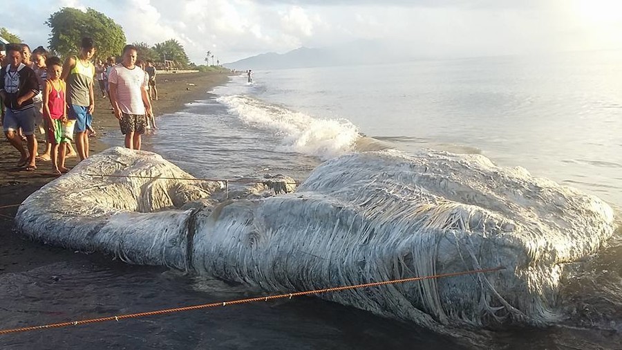 Γιγάντιο περίεργο πλάσμα ξέβρασε η θάλασσα σε παραλία των Φιλιππίνων (Photos)