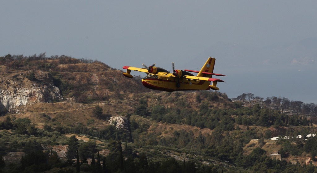 Πυρκαγιά σε δασική περιοχή στη Κύμη