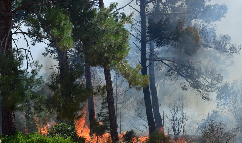 Σε εξέλιξη δασική πυρκαγιά στο Άρμα Θήβας