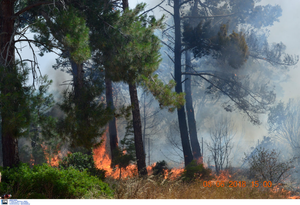 Πυρκαγιά σε δασική έκταση στην Αλόννησο – Εκκενώθηκε ξενοδοχείο