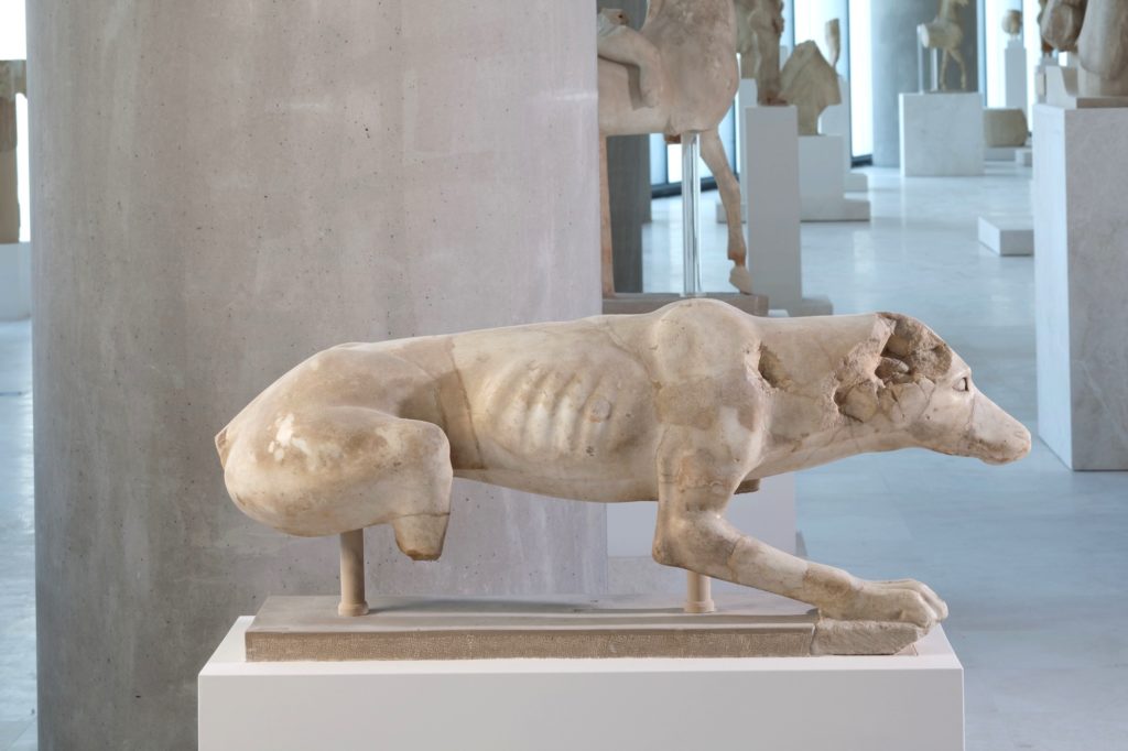 Μουσείο Ακρόπολης: Οι σχέσεις ανθρώπων και ζώων στην αρχαιότητα