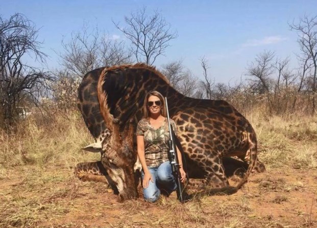 Σάλος με την φωτογραφία κυνηγού με το πτώμα μαύρης καμηλοπάρδαλης (Video)