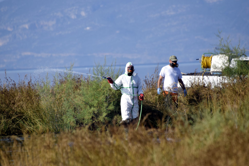 Θεσσαλία: Συναγερμός για τα κουνούπια – Πρόγραμμα ψεκασμών