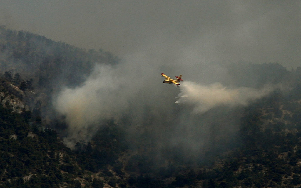 Κάρυστος: Πυρκαγιά σε δάσος στο Βατήσι