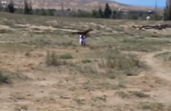 Απίστευτο βίντεο: Τεράστιος αετός επιτίθεται σε κοριτσάκι (Video)