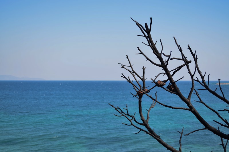 Ένα εκατ. ευρώ στους δήμους Ραφήνας- Πικερμίου και Μαραθώνα