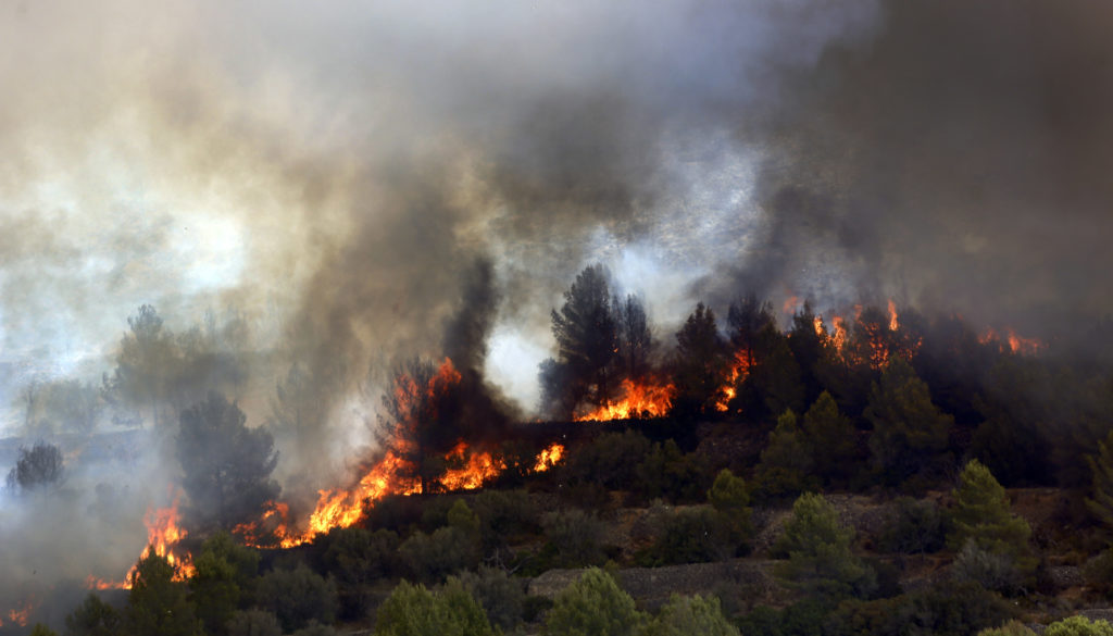 Η υπερθέρμανση του πλανήτη, καταλύτης των δασικών πυρκαγιών