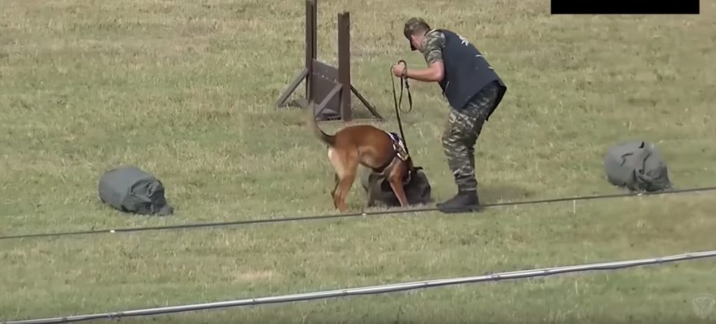 Στρατιωτικοί σκύλοι και συνοδοί εν δράσει για τη φύλαξη των μονάδων