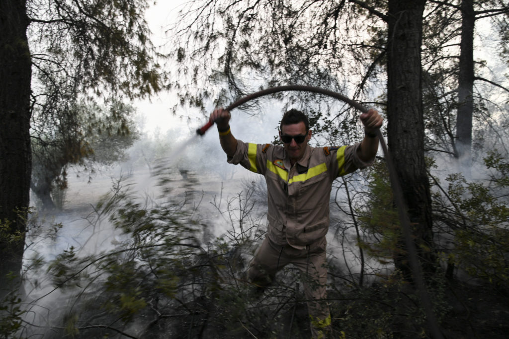 Σε ύφεση η πυρκαγιά στις Ροβιές Εύβοιας