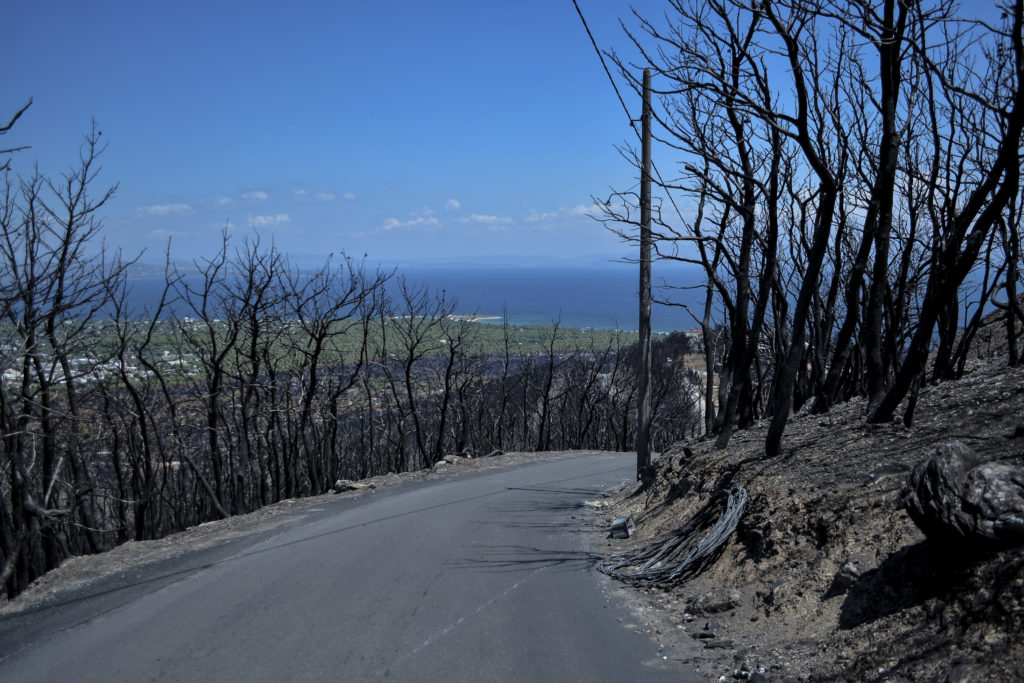 Τελικά σε πόσα λεπτά θα μπορούσε να εκκενωθεί το Μάτι κατά τον καθηγητή Συνολάκη; (Photo)