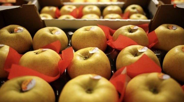 Κούβα: Yπάλληλοι σούπερ μάρκετ απολύθηκαν επειδή πούλησαν σε έναν πελάτη 15.000 μήλα!