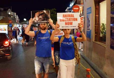 Έφοδος vegan και ένταση στο Burger Festival της Αθήνας: «Δεν είναι φαγητό, είναι βία»! (Video)