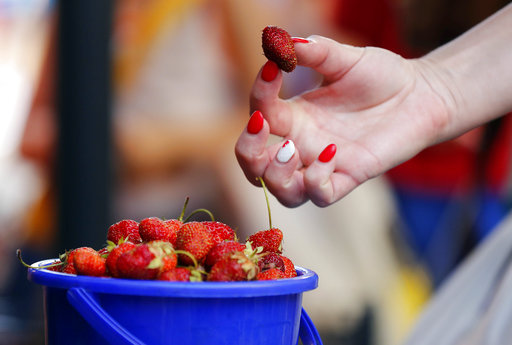 Αυστραλία: Σούπερ μάρκετ αποσύρουν τις βελόνες ραψίματος μετά το σκάνδαλο με τις βελόνες στις φράουλες