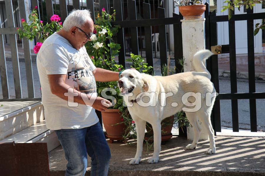 Μήνυση και πρόστιμο για τον “Παλαιοκώστα” που γαβγίζει (Video + Photo)