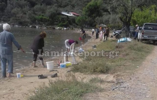 Οι ακτές της Φθιώτιδας και της Εύβοιας γέμισαν… τσιπούρες! – Ποιος είναι ο λόγος (Photos)