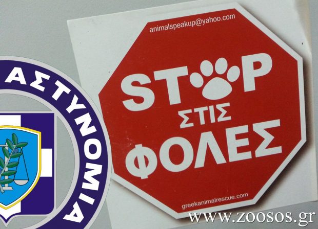 Ελληνικό: Επιτέλους! Καταδικάστηκε γυναίκα που έριχνε φόλες σε σκύλους