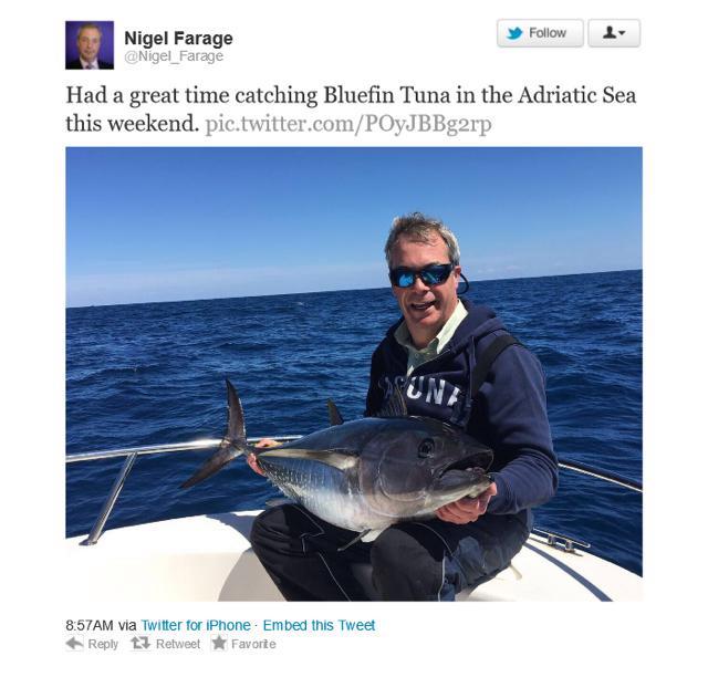 Μεγάλη γκάφα Φάρατζ: Δημοσίευσε φωτογραφία από ψάρεμα τόνου, μόνο που… απαγορευόταν η αλιεία!