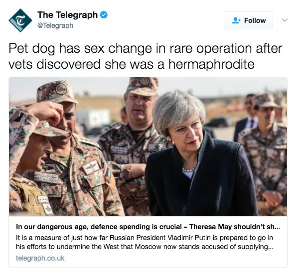 Απίθανη γκάφα της Telegraph: Έβαλε σε θέμα για αλλαγή φύλου σε σκυλάκι… την Τερέζα Μέι (Photo)
