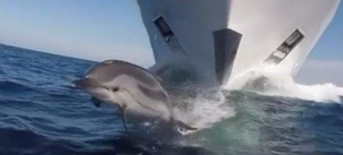 Ένα υπέροχο θέαμα: Δελφίνια “χορεύουν” στην θάλασσα (Video)