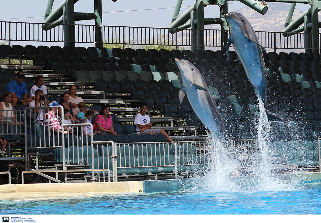 Επιθεωρητές Περιβάλλοντος: Στον εισαγγελέα η έκθεση για τα δελφίνια του Αττικού Πάρκου