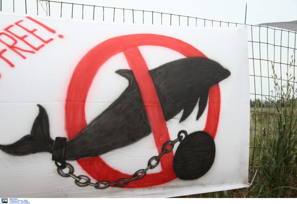 Διαμαρτυρία στο Αττικό Πάρκο: «Παράνομες παραστάσεις με φυλακισμένα δελφίνια» (Photos)
