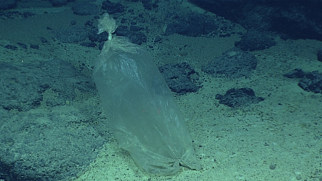 Πλαστική σακούλα βρέθηκε ακόμη και στο βαθύτερο σημείο των ωκεανών, στα 10.898 μέτρα!